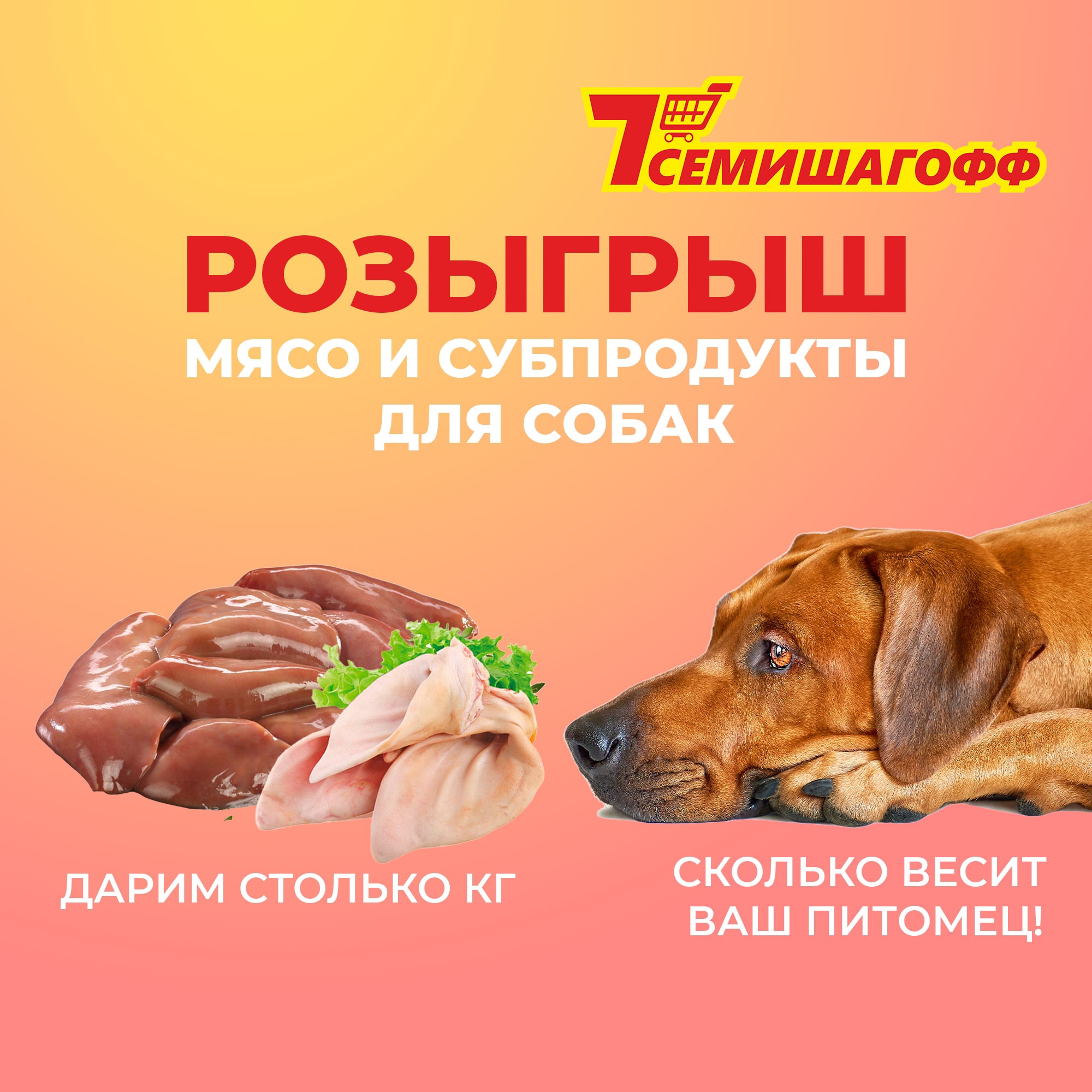 news-main