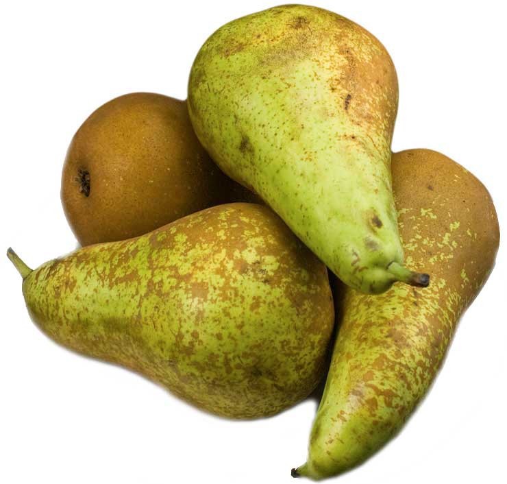 Груша Конференц/Аббат 1кг